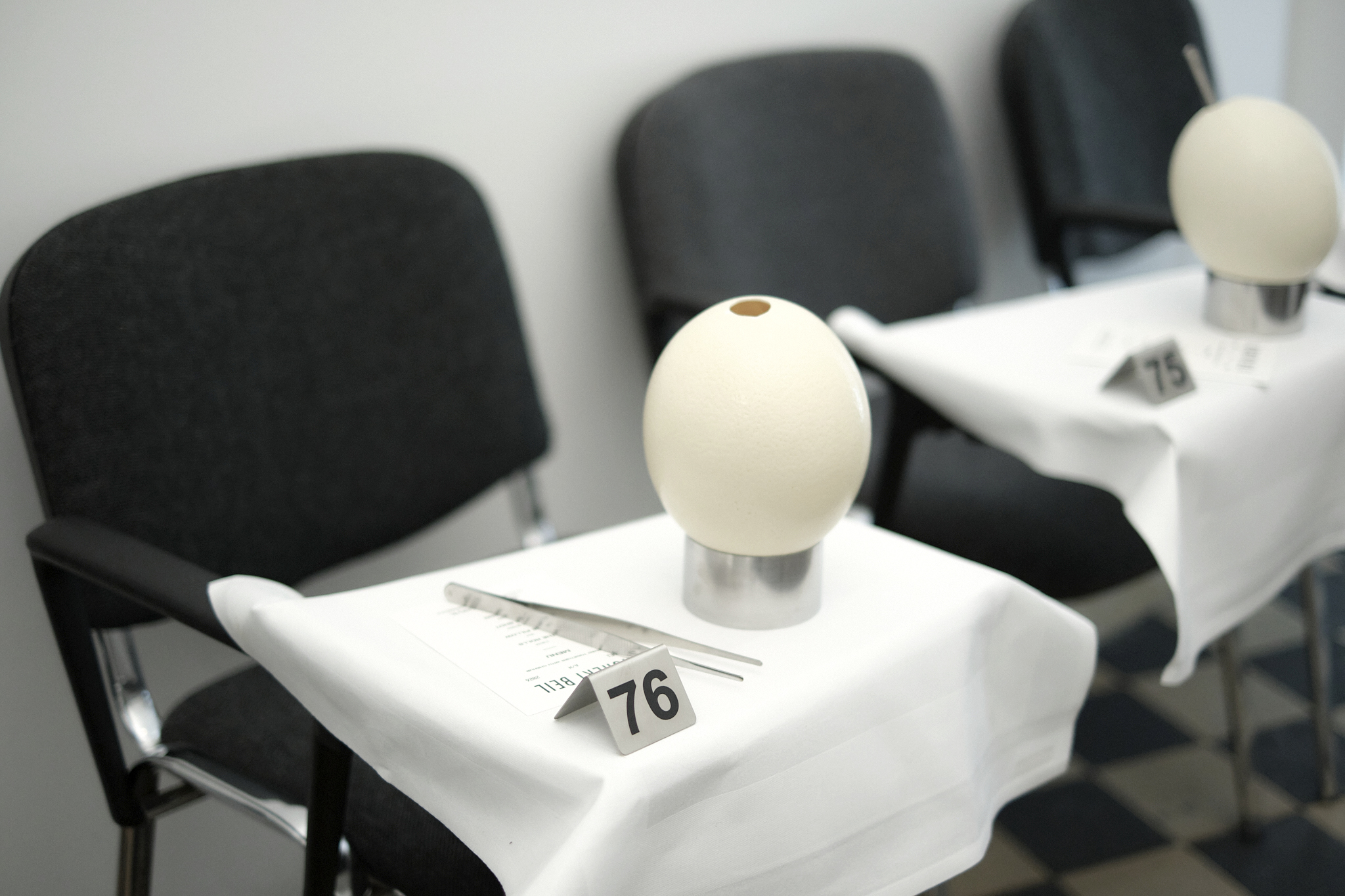 Featured image for “Berlin Fashion Week”